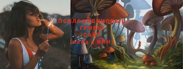 ешки Абдулино