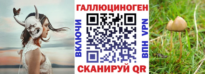 Псилоцибиновые грибы Magic Shrooms  MEGA ONION  Кострома 